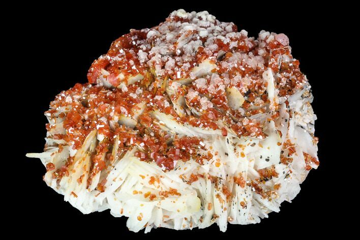 Ruby Red Vanadinite Crystals on Barite - Morocco #100700